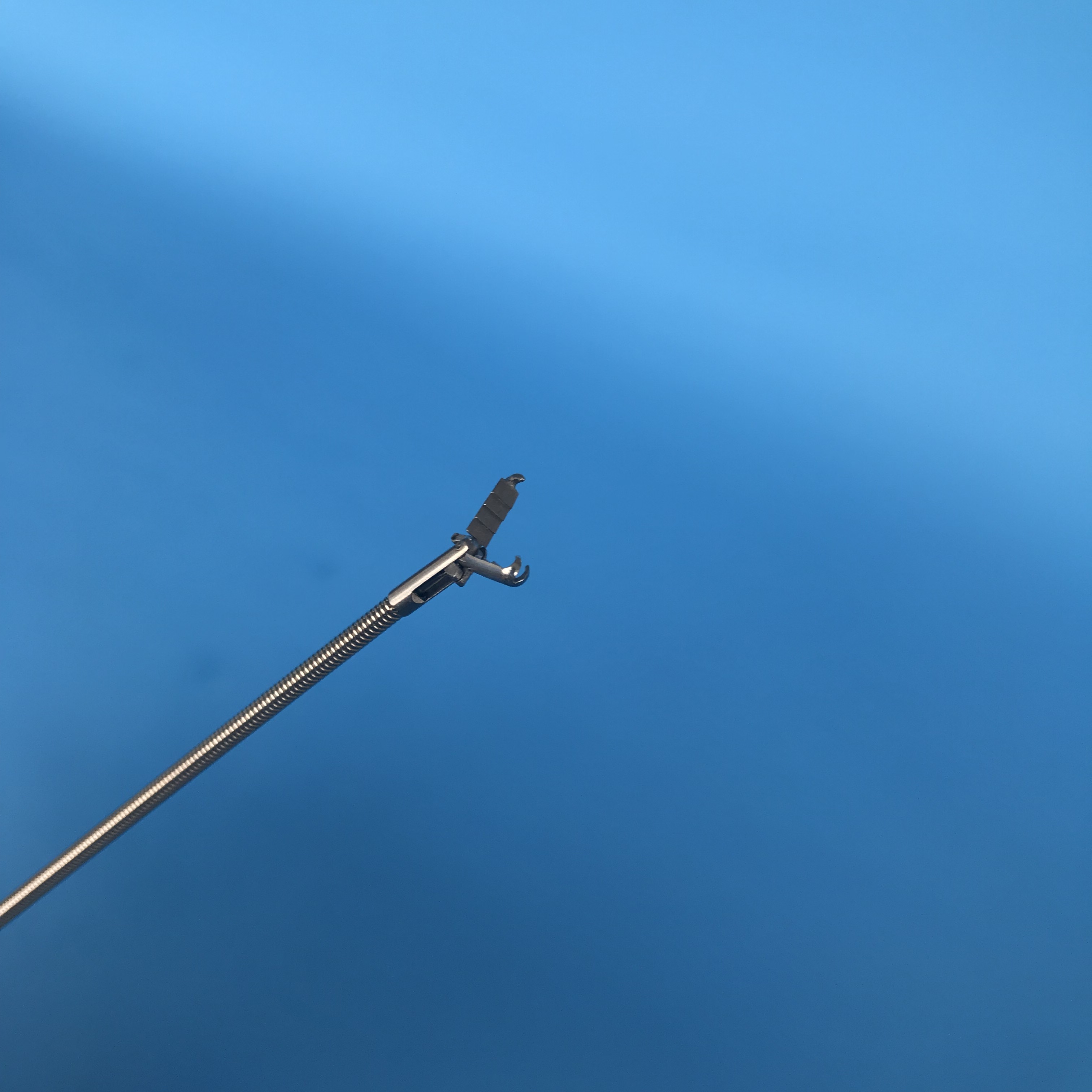 2300 mm Disposable Grasping Forceps with CE and ISO certificate