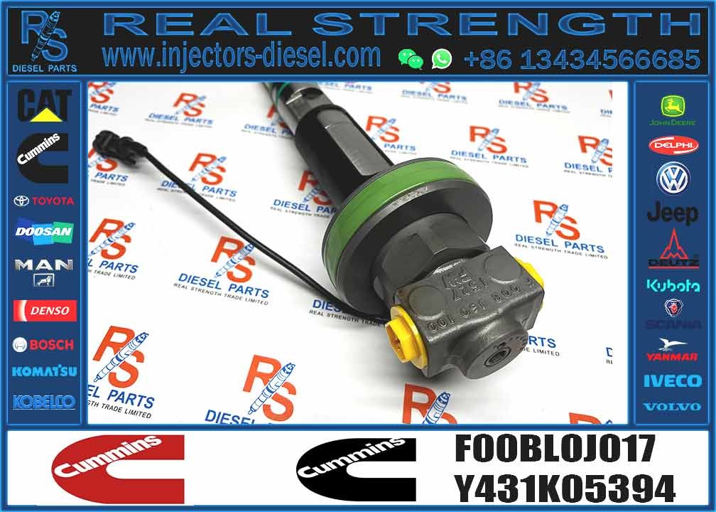 Common Rail Engine Accessories Diesel Injector 4964171 FOOBLOJ017 F00BLOJ017 FOR