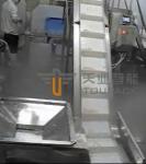 TOUPACK 100bpm Frozen Food Packing Machine , Shrimp Packing Machine