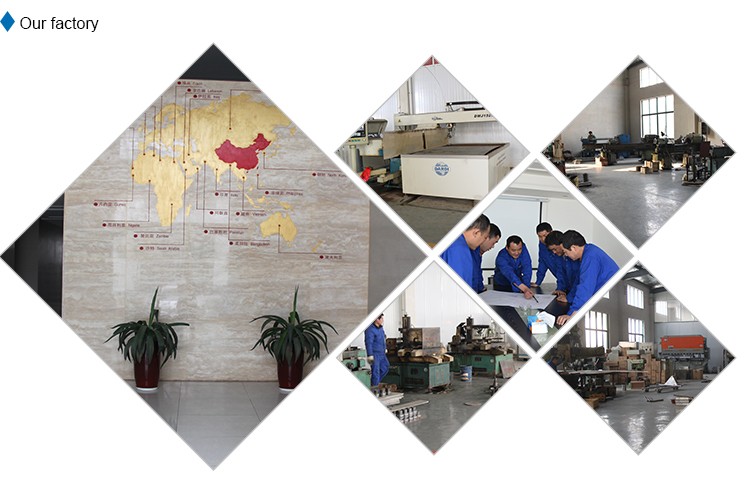 304 Stainless Steel Chicken Slaughtering Line 220V / 380V Poultry Killing Machine
