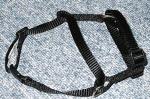 dog leash