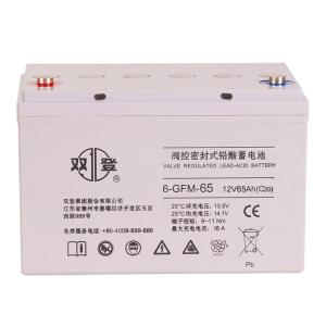 Quality 21kg AGM Battery 12V65Ah for Emergency Fire Power Solar Energy Storage Power System wholesale