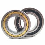 Removable Inner Ring NU2205E-TVP2-C3 Cylindrical Roller Bearing