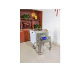 Slicing Vegetable Cutting Machine Stainless Steel 220V Home Use