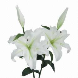 Wingflora Art&Craft Co., Ltd