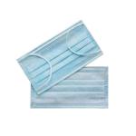 17.5x9.5cm EarLoop Face Mask PP Non Woven Material