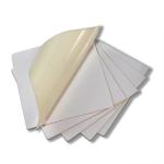 Printed TPE Removable Material Roll Whiteboard Sheet ODM
