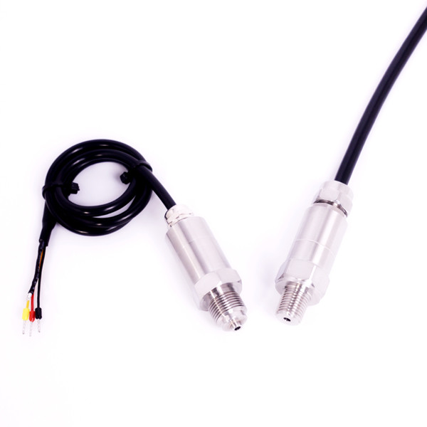 SUS304 NPT1/4 OEM Pressure Sensor For Water Pump