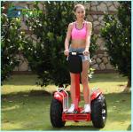 4000 Watt Double Battery 2 Wheel Segway Electric Scooter for adults , 20KM/H Max