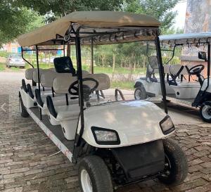 Quality NEV Electric 10 Seater Golf Cart Kustom With Under Seat Storage wholesale