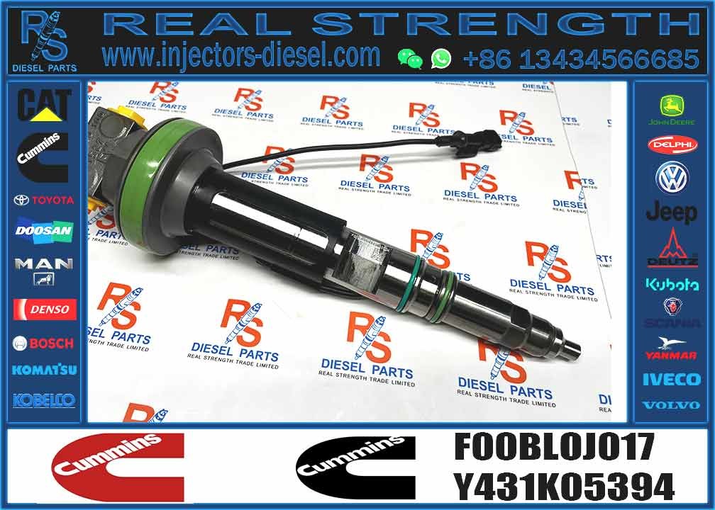 Common Rail Engine Accessories Diesel Injector 4964171 FOOBLOJ017 F00BLOJ017 FOR