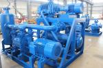 300L/S Vacuum Pumps And Systems Roots Liquid Ring Vacuum Pump System
