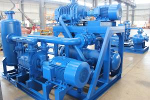 Quality 300L/S Vacuum Pumps And Systems Roots Liquid Ring Vacuum Pump System wholesale