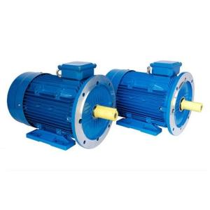 Quality Variable Speed Brushless Permanent Magnet Motor 380V Self Sensing Operation wholesale