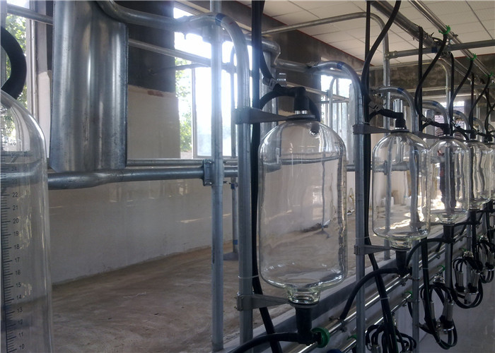 HL-G01 Cow Herringbone Milking Parlor System with 28L Glass Milk Recorder