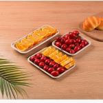 Food Fruit Vegetable Sugarcane Compostable Serving Tableware Biodegradable Meat