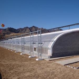 Quality Roofing Shape Arched Roof JX-Arch Green House for Tomato Strawberry Hydroponic Farming wholesale