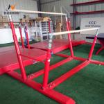 Kids Gymnastics Training Equipment Outdoor Uneven Bars with Extension Legs in