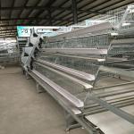 3 Tiers Metal Poultry Cage Automatic Manure Cleaning System