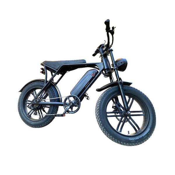 Electric Fat Tire Snow Beach E-Bike With Double Disc Brake And Lithium Battery