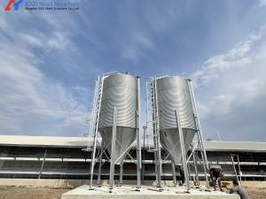 Quality KXD Automatic Steel Structure Poultry Shed Equipment For Broilers / Layers wholesale