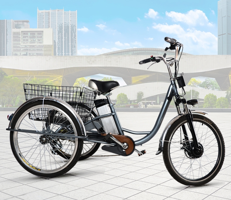 Adult 3 Wheel Electric Tricycle 48V 250W Motor Three Wheel Electric Cargo Bike