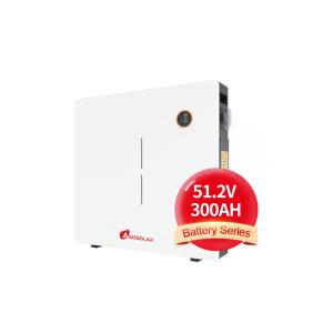 Quality Home Appliances 48V 100Ah 200Ah 5Kwh 10Kwh Rechargeable Solar Powered Lifepo4 Battery wholesale