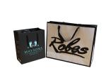 Fashionable Paper Shopping Bags Matt / Glossy Lamination Surface Handling