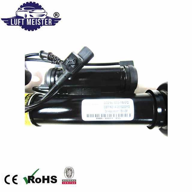 Shock Strut for Mercedes W251 R Class R280 R300 R350 R500 R550 2513203013 2513203113