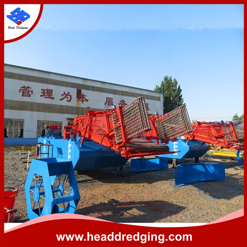 reed harvester