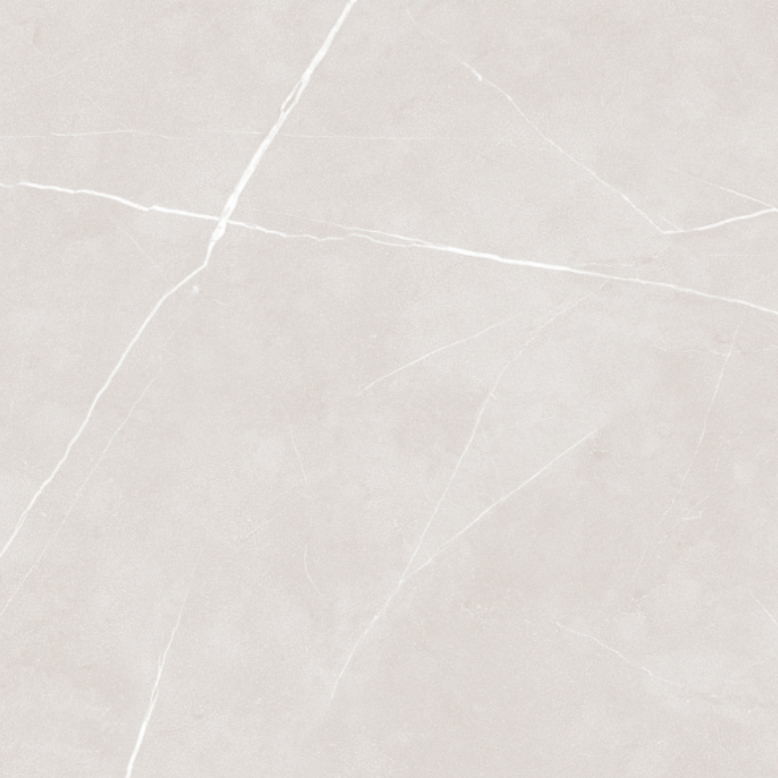 OEM Or ODM Matt Surface Tile 600*600mm / Durable Living Room Porcelain Floor Tile