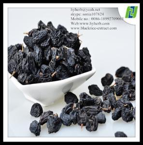 Quality Powder Formed Natural Organic Black Currant Extract wholesale
