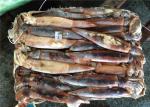 BQF 200G 300G Good Color Whole Round Fresh Frozen Squid