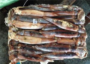 Quality BQF 200G 300G Good Color Whole Round Fresh Frozen Squid wholesale
