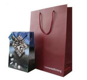 Quality Euro Paper Shopping Carrier Bags wholesale