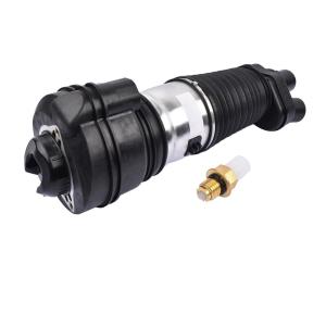Quality 9Y0616040C Air Suspension Parts Air Suspension Strut wholesale