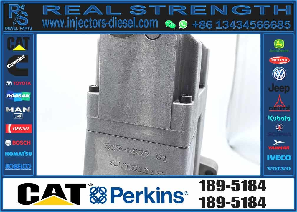 Diesel Fuel Injection Pump 189-5184 254-4357 for CAT C7 C9 Excavator E330D E336D E340DL
