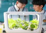 Indoor Plants Vertical Hydroponic Sprout Growing Systems