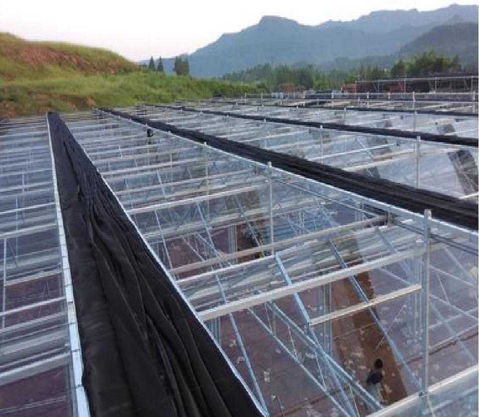 Hydroponic System High Tunnel Film Greenhouse for Sale
