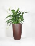 Indoor Hotel Fiber Clay Planter