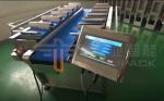 30WPM Frozen Food Packing Machine