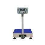 ABS stainless steel Electronic Platform Scale for Industrial Weighing Applicatio