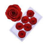 Factory wholesale real touch high quality multi color natural preserved roses at