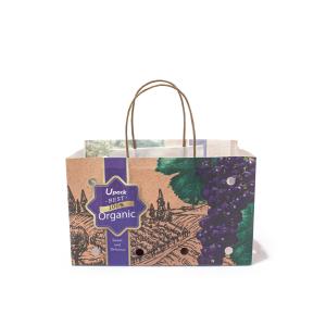 Quality Twisted Handle Fruit Paper Bags Compostable Recyclable SEDEX Certified wholesale