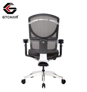 Quality Ergonomic Project Office Chair Adjustable Lumbar Support Swivel Mesh wholesale