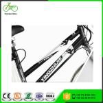 24 Inch Unisex Electric City Bicycles NO Foldable 250W 48V 10AH Lithium Battery