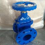 ANSI DIN Rubber Resilient Seated non-rising Stem Gate Valve