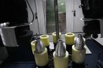 Stainless Steel Disc Automatic Polishing Machine Rotary Buffing Nylon Polishing