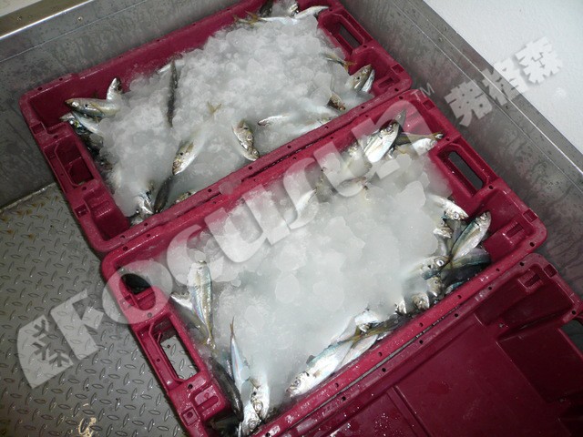 Industrial Ice Slush Machine for Home Beverage Revolutionize Your Fishing Experience