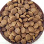 Small Dry Pedigree Dog Food Pellet Extrusion Equipment with Delta Inverter